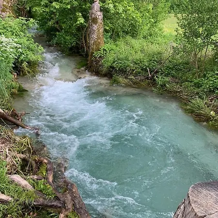 Private Im Gebaeude Des Graf Eberhard باد أوراش