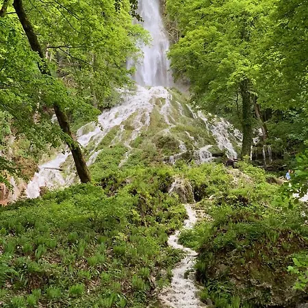Appartement Private Im Gebaeude Des Graf Eberhard *